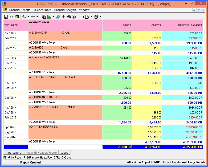 fmcg ledger report monthly